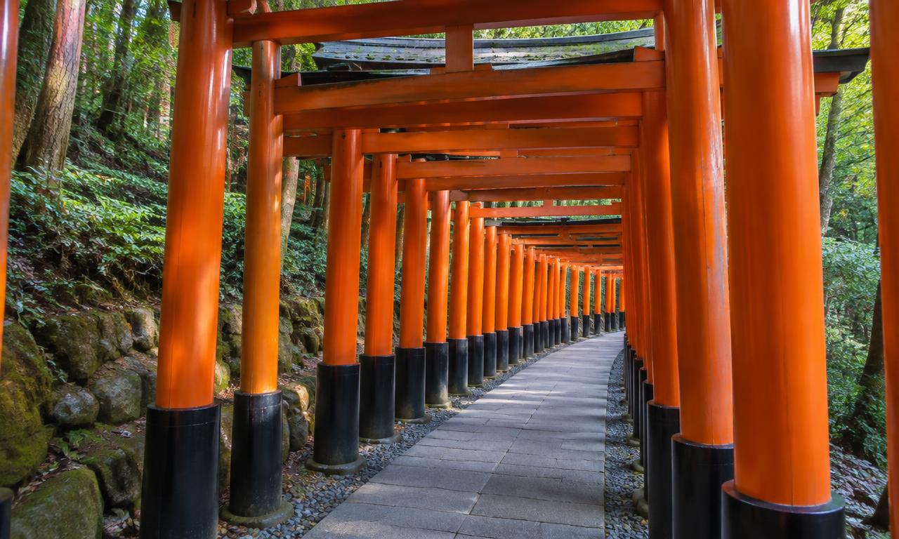Kyoto & Nara Day Tour from Osaka